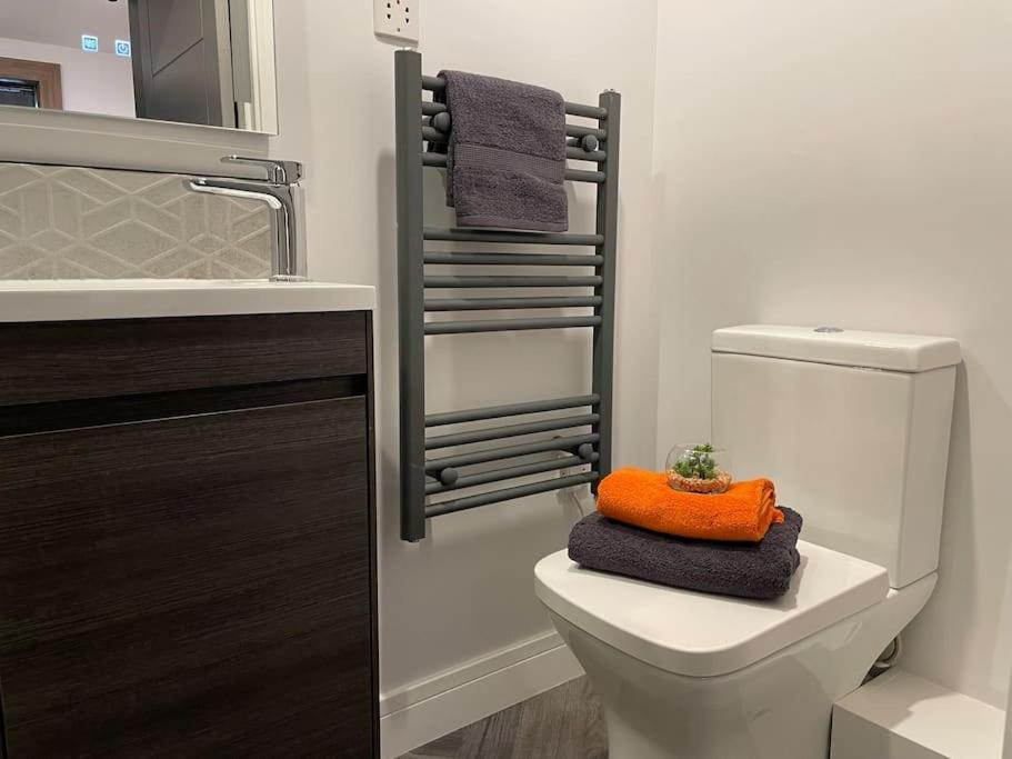 Lovely 1 Bed 2b Near Royal Infirmary And Dmu Apartment *